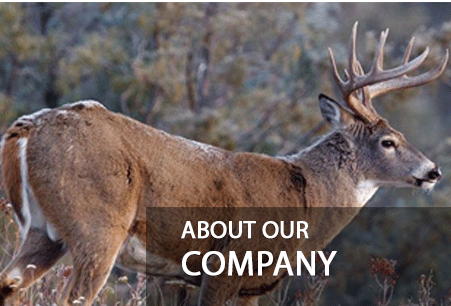 Mountain Archery About Our Company