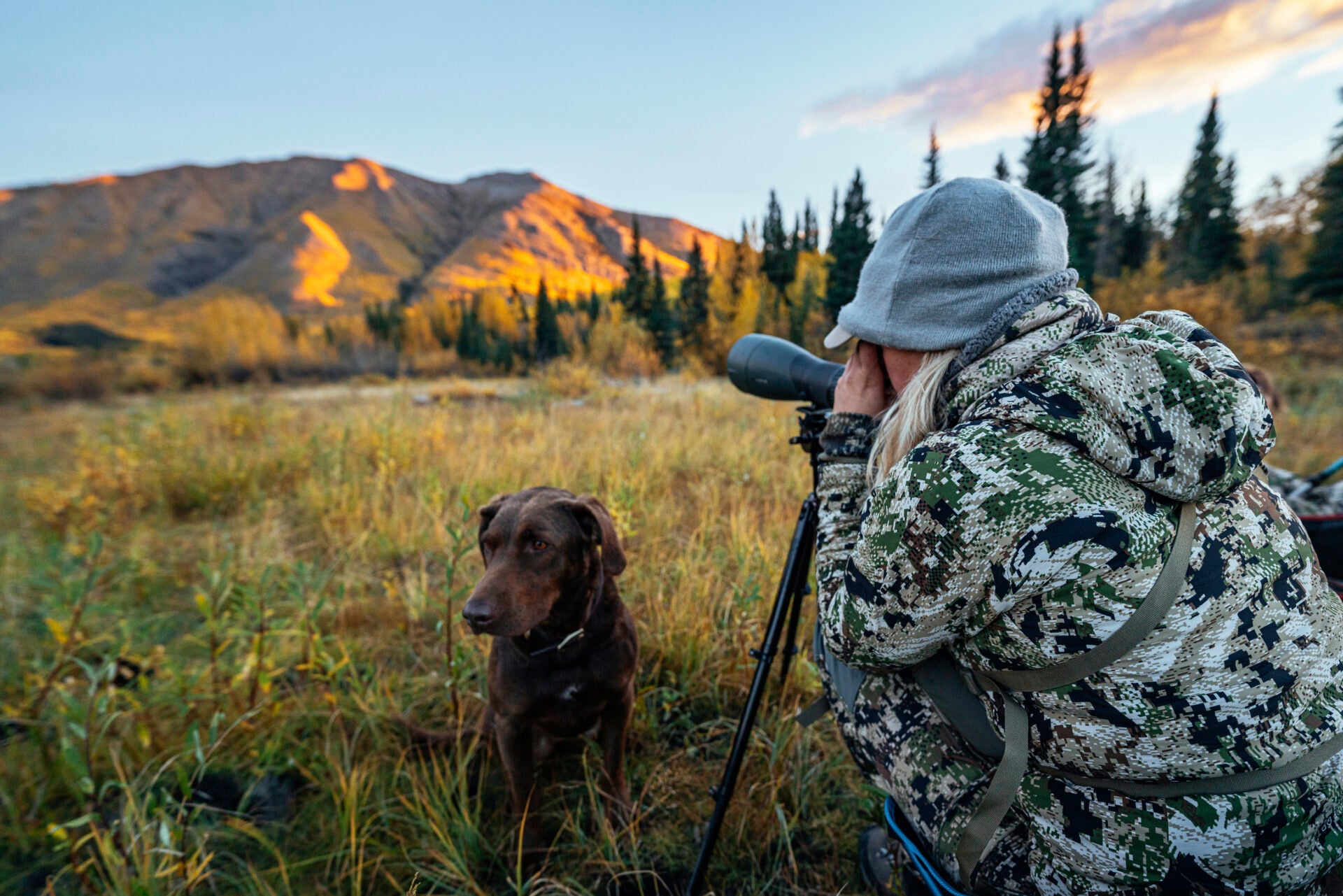 Sitka Ambient Series