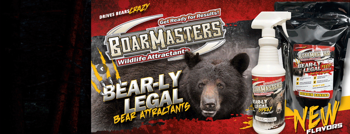 Boarmasters Bear Bait